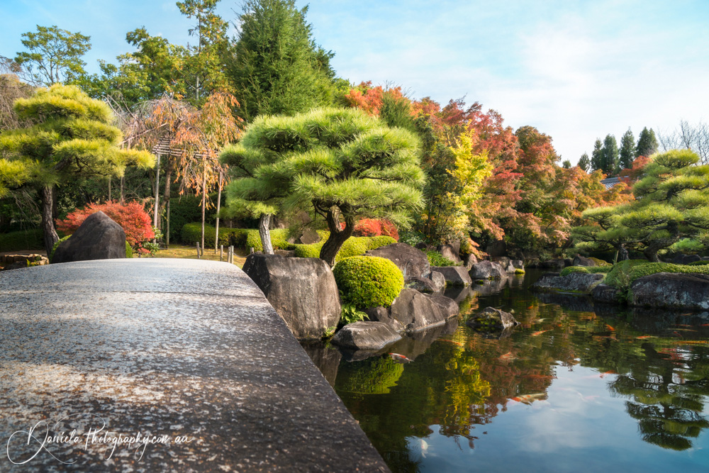 Sunny aspect of the Koko en Gardens in Himeji, with beautiful and colorful trees in autumn